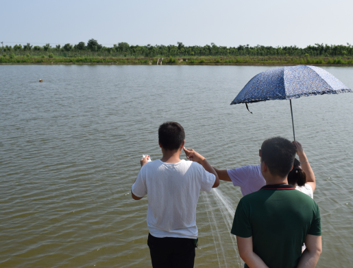 丝珂瑞员工夏日游玩